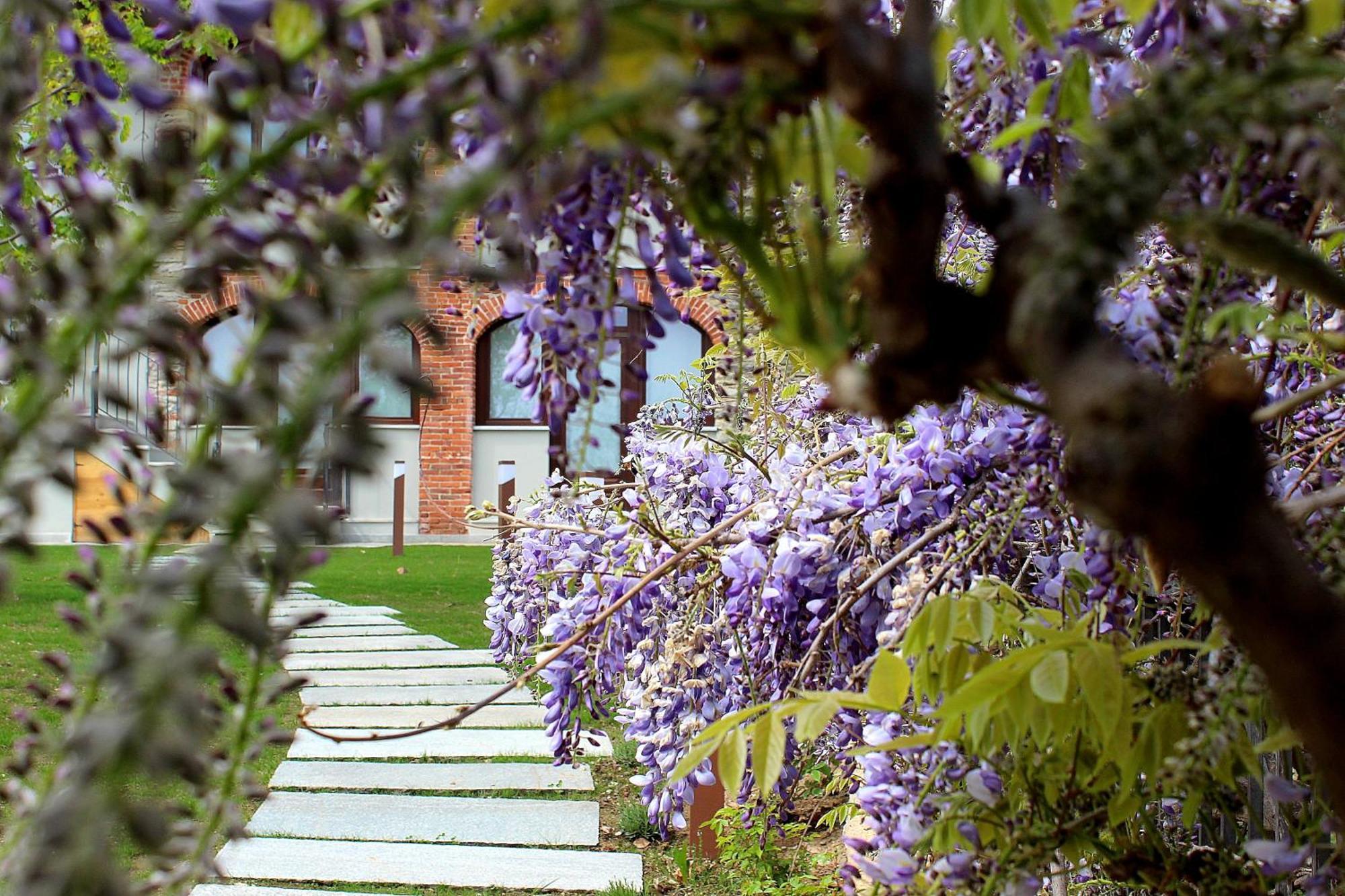 Casa Bart, Bike And Outdoor Hospitality Hotel Villar San Costanzo Exterior photo